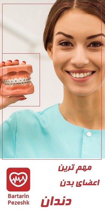 دندان مهم ترین اعضای بدن